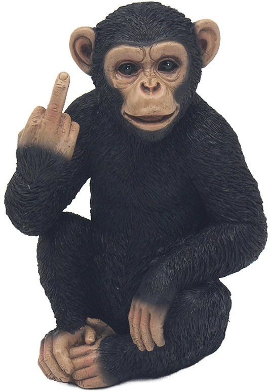 Cheeky Monkey With Middle Finger Gesture